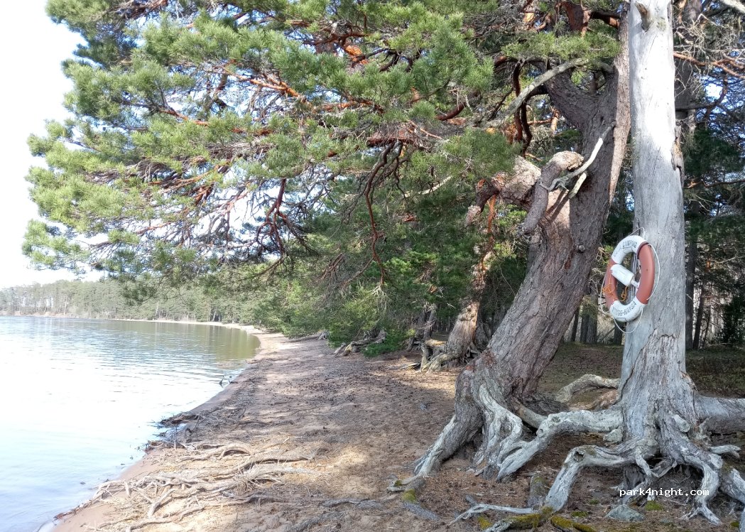 Östa Camping — foto 3