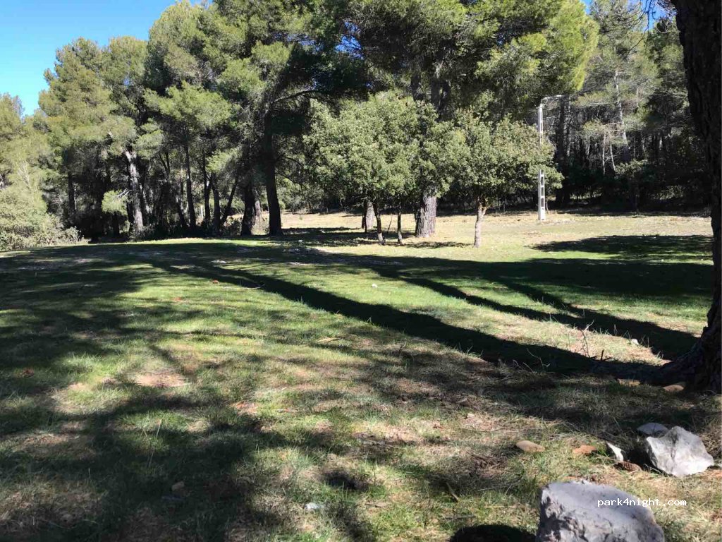 (23460) Peal de Becerro - — foto 3
