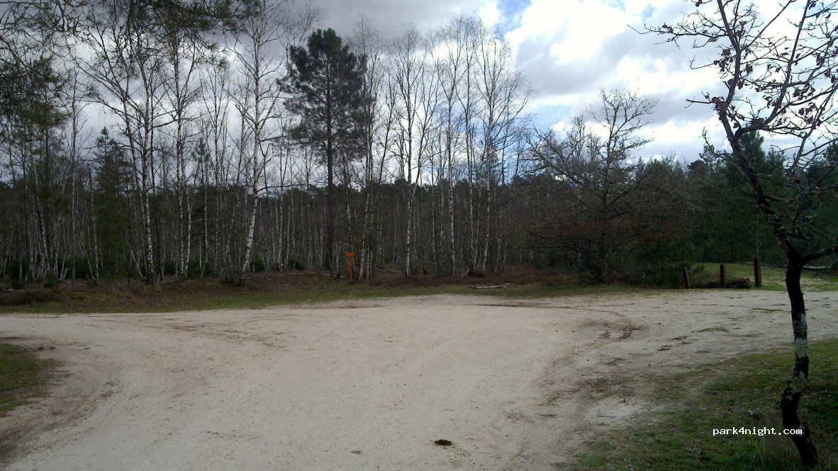 (18330) Neuvy-sur-Barangeon - Route Forestière de Toury — foto 2