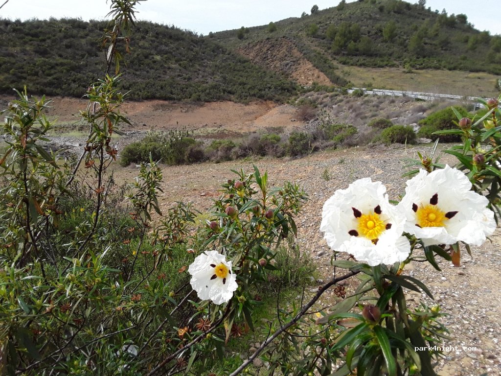 (8950) Odeleite - Unnamed Road — foto 3