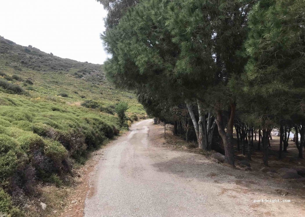 (48990)  - Unnamed Road — foto 4