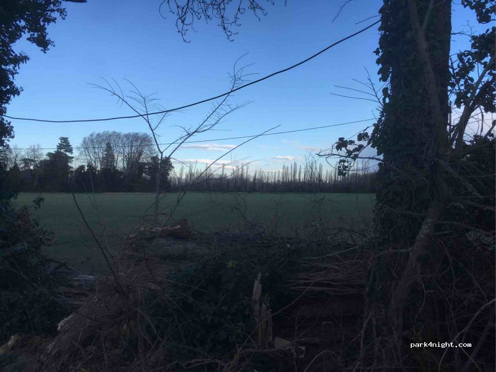 (84000) Avignon - 2164 Chemin de la Barthelasse — foto 3