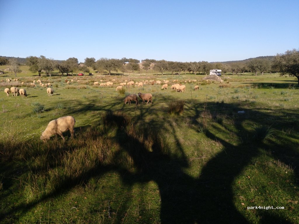 (06190) La Roca de la Sierra - 34 Diseminado Diseminados — foto