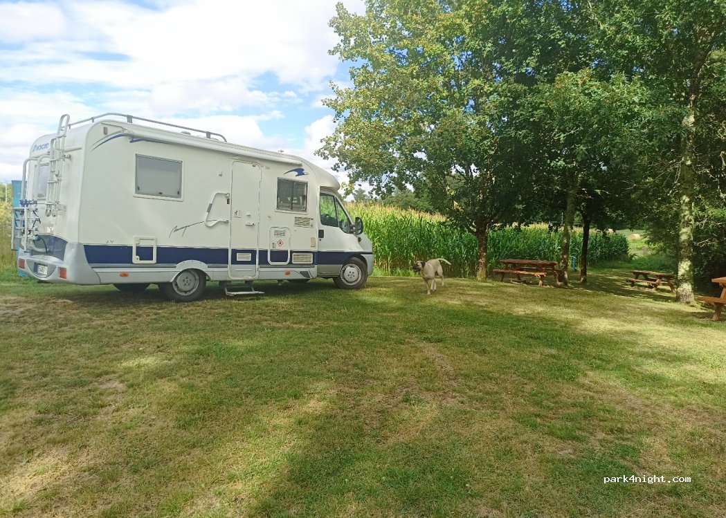 (17210) Saint-Palais-de-Négrignac - D259E2 — foto 2