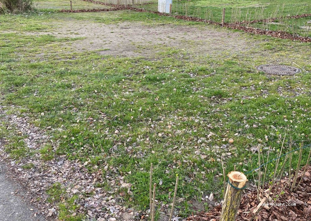 Campingplatz  Kulkwitzer See — foto 4