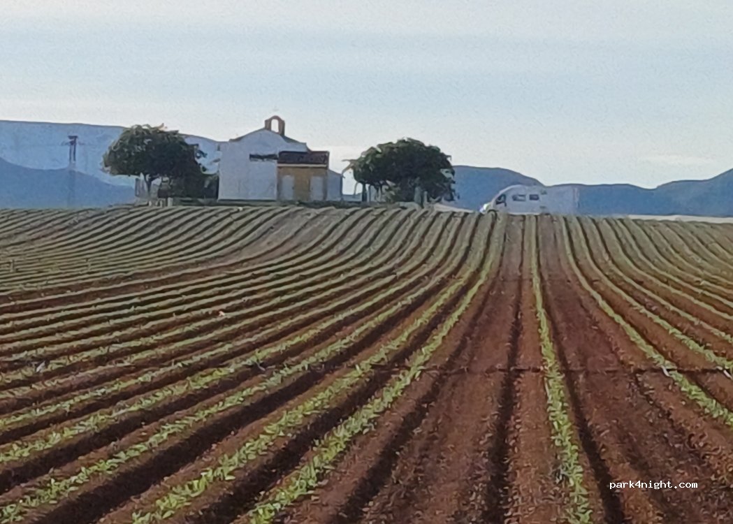 (30320) Fuente Álamo de Murcia - Pasaje Zarzas, 18 — foto 5