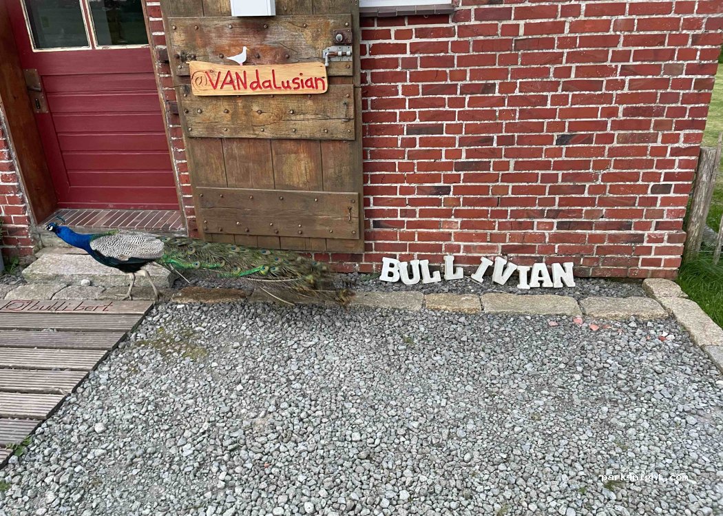 VANdalusian — foto 4