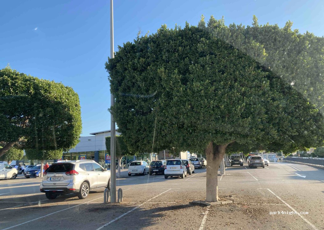 (07181) Calvià - 6 Carrer de Còrdova — foto