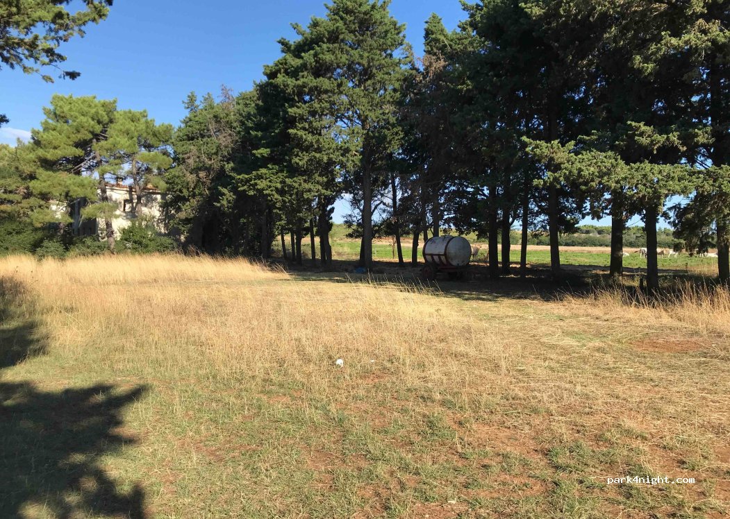 (52203) Ližnjan - Unnamed Road — foto 4