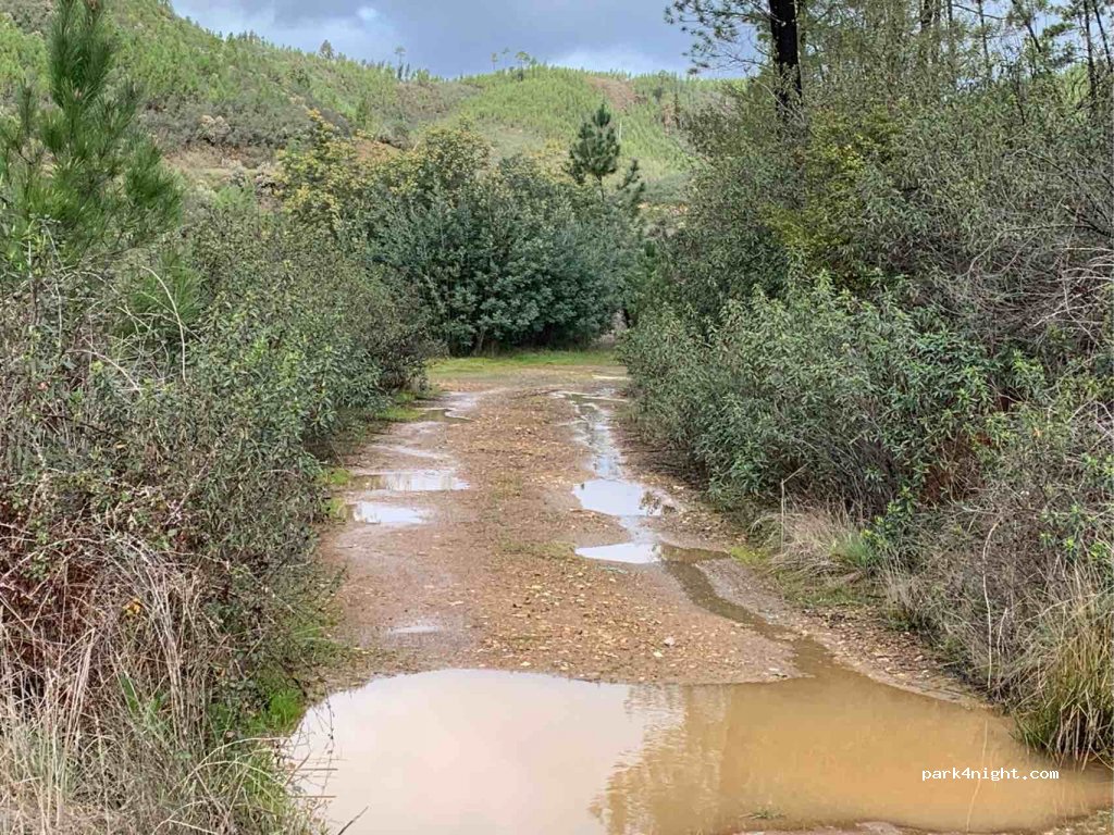 (7480) Avis - Unnamed Road — foto 3