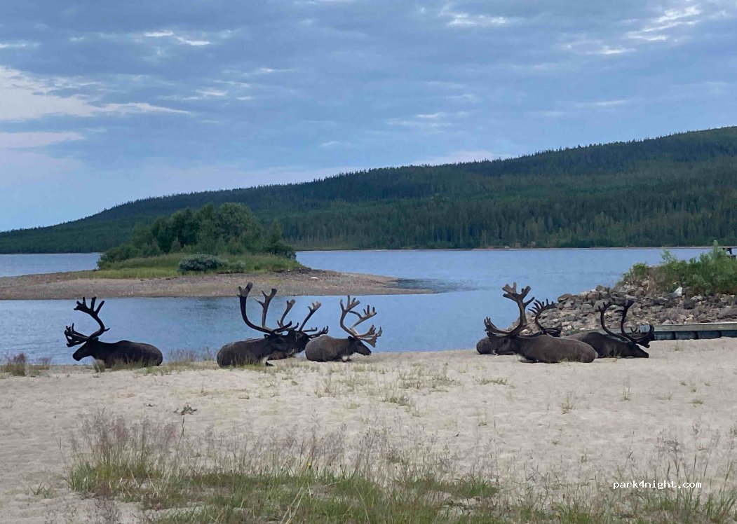 Lofsdalen camping — foto 4