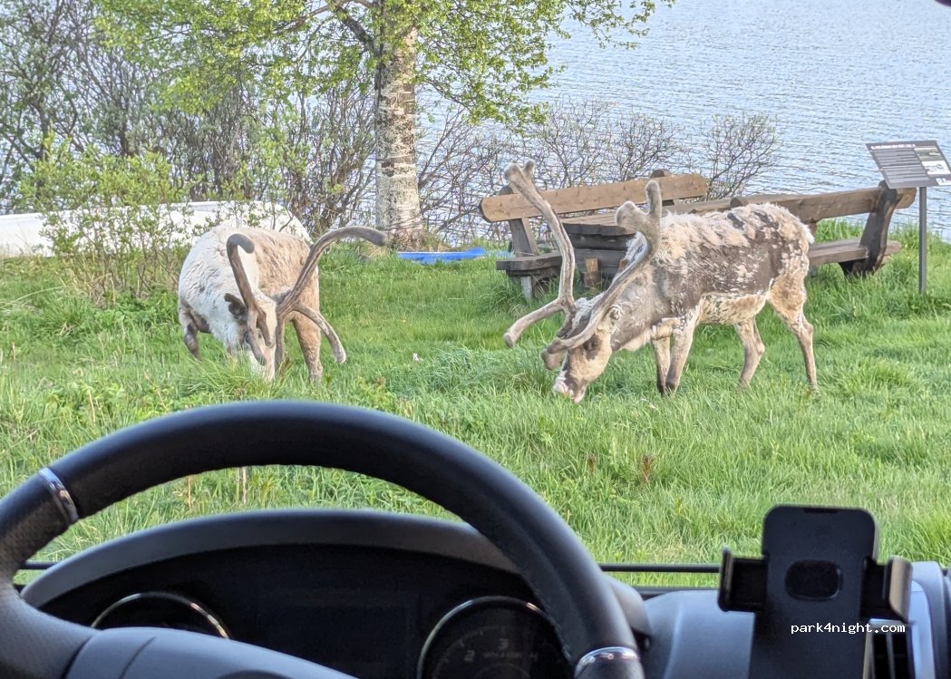 Lofsdalen camping — foto 5