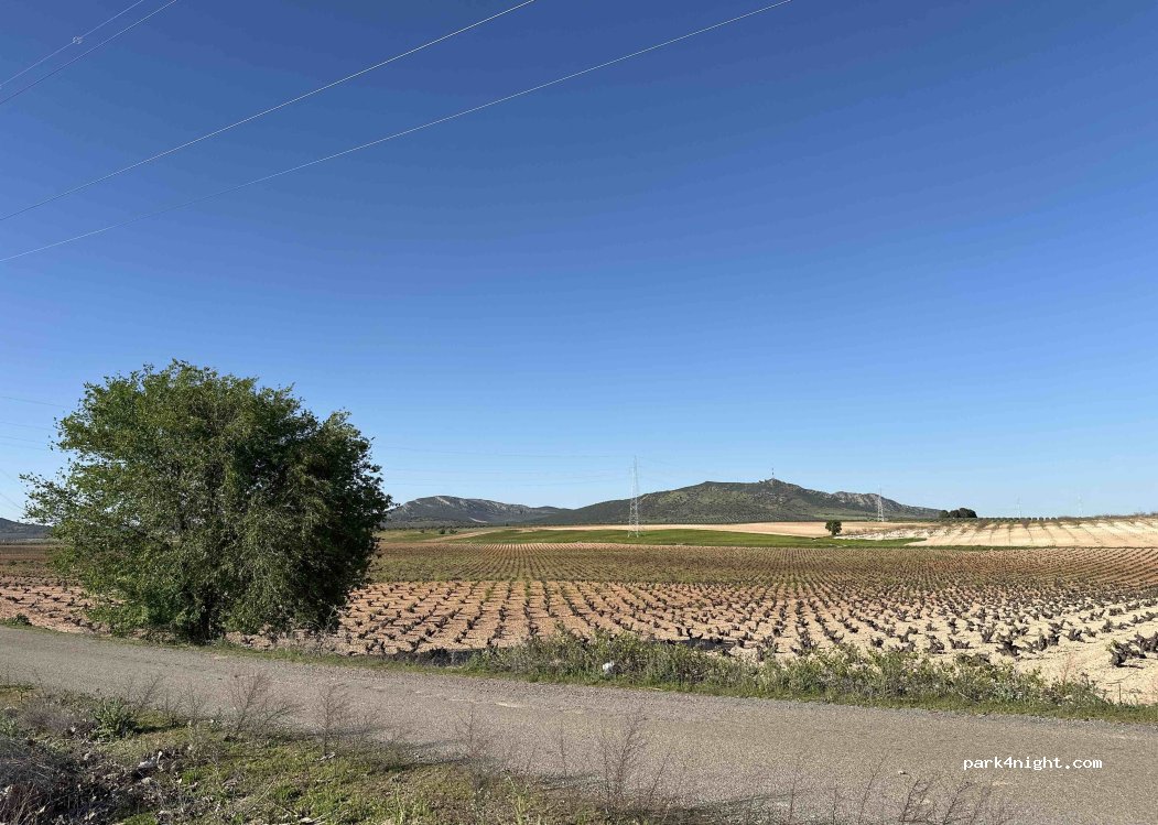 (13210) Villarta de San Juan - Autovía del Sur — foto 3