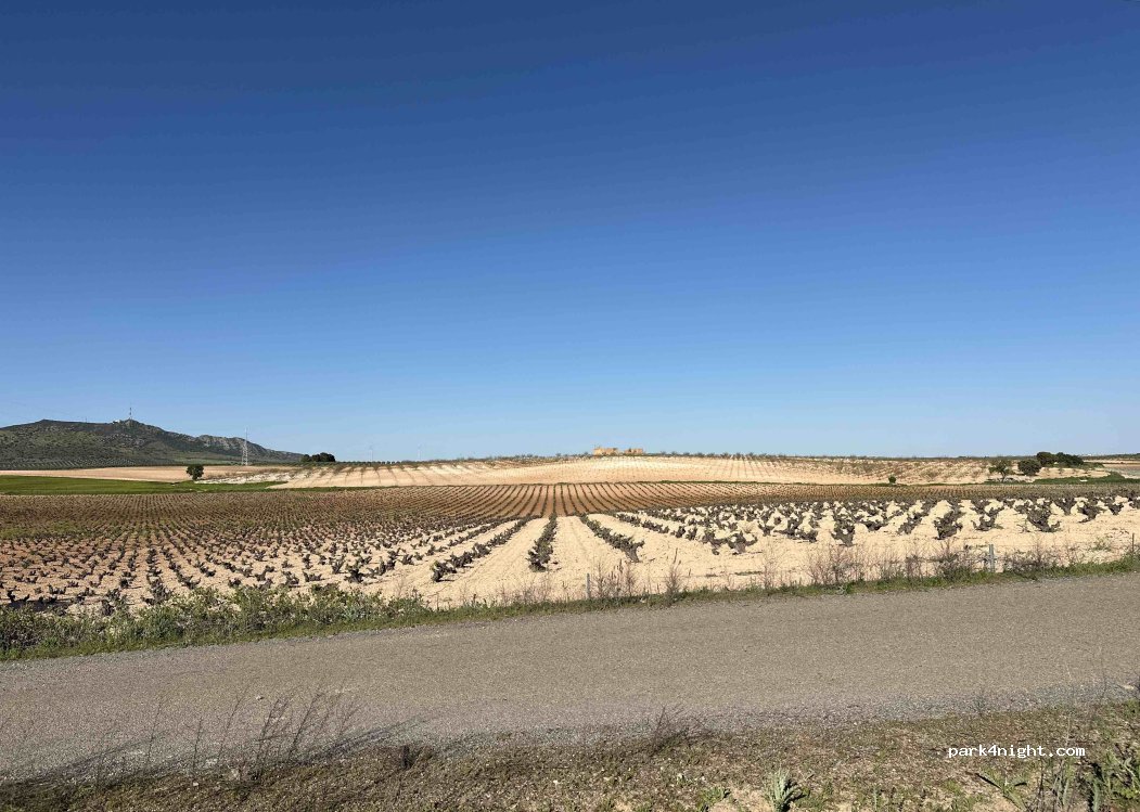 (13210) Villarta de San Juan - Autovía del Sur — foto 4