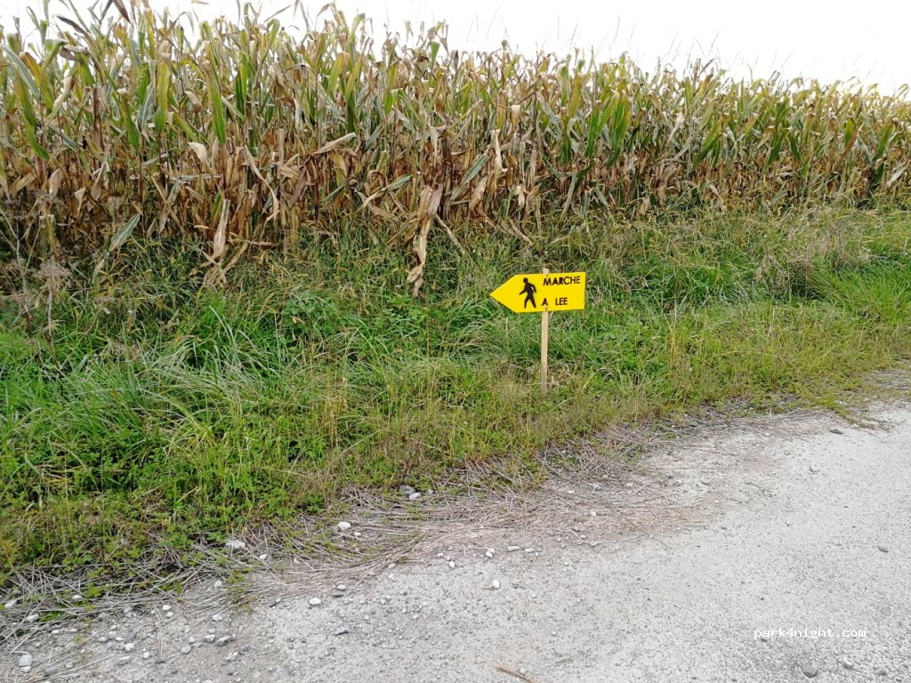 (64510) Meillon - Chemin Henri IV — foto 2