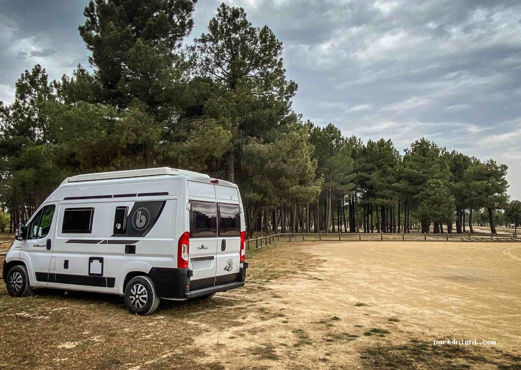 (40320) Cantalejo - Carrereta de Lastras de Cuéllar a Cantalejo — foto 3