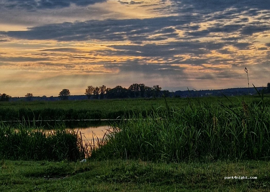 (05-254) Czarnów - Unnamed Road — foto 3