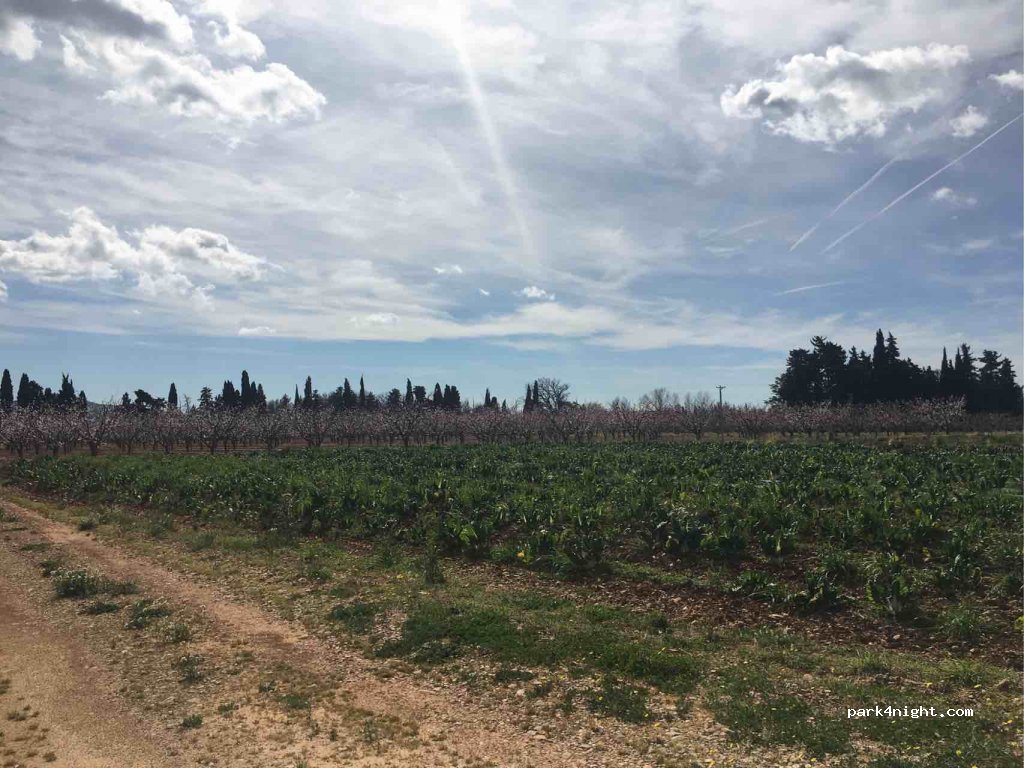 (83210) Solliès-Ville - La castille — foto 3
