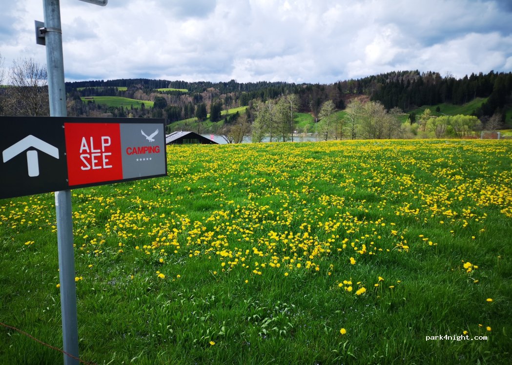 Alpsee Camping — foto 2