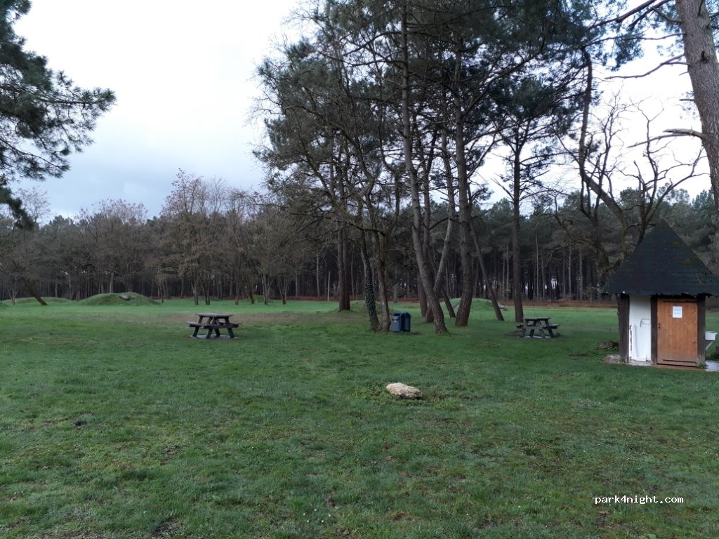 (49140) Seiches-sur-le-Loir - D601 — foto 2