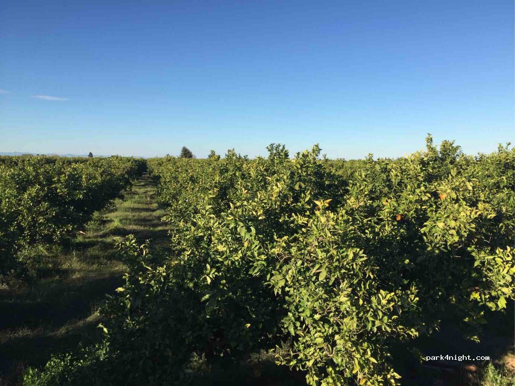 (46687) Albalat de la Ribera - 3A Calle J. y M. Perales — foto 3