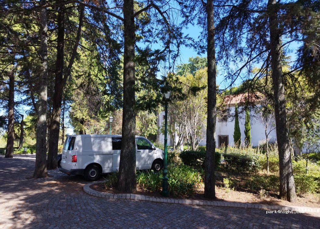 (6000-108) Castelo Branco - Rua do Mercado — foto 3