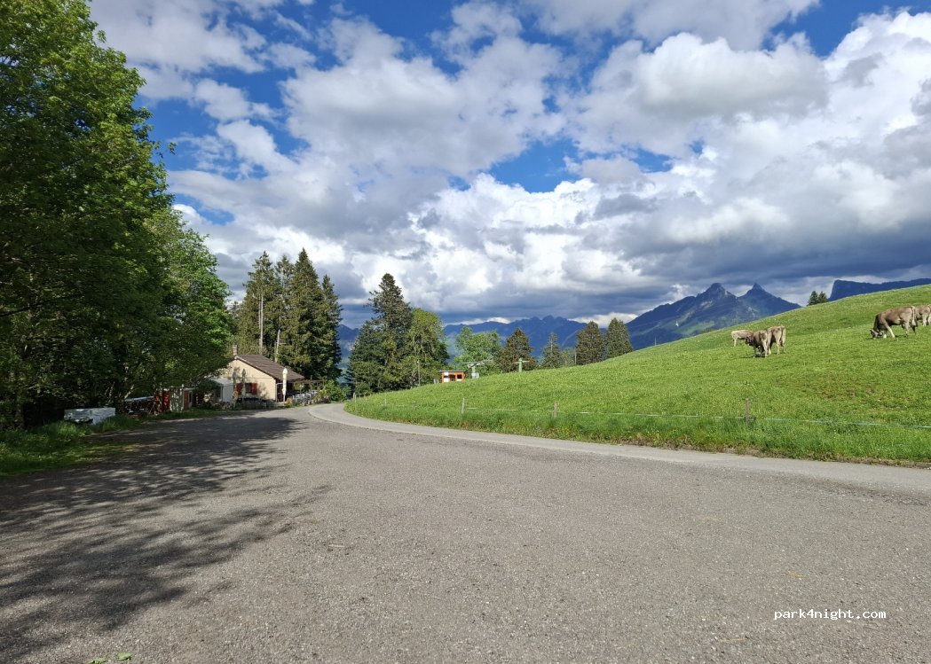 (1635) Bulle - Pré de la Joux Dessous — foto 3