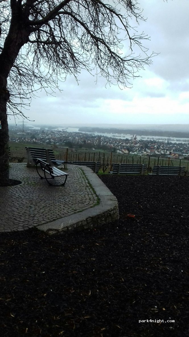 (65366) Geisenheim - Unnamed Road — foto 2