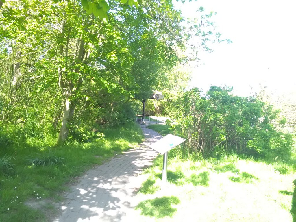 (26969) Butjadingen - Tossenser Deich — foto