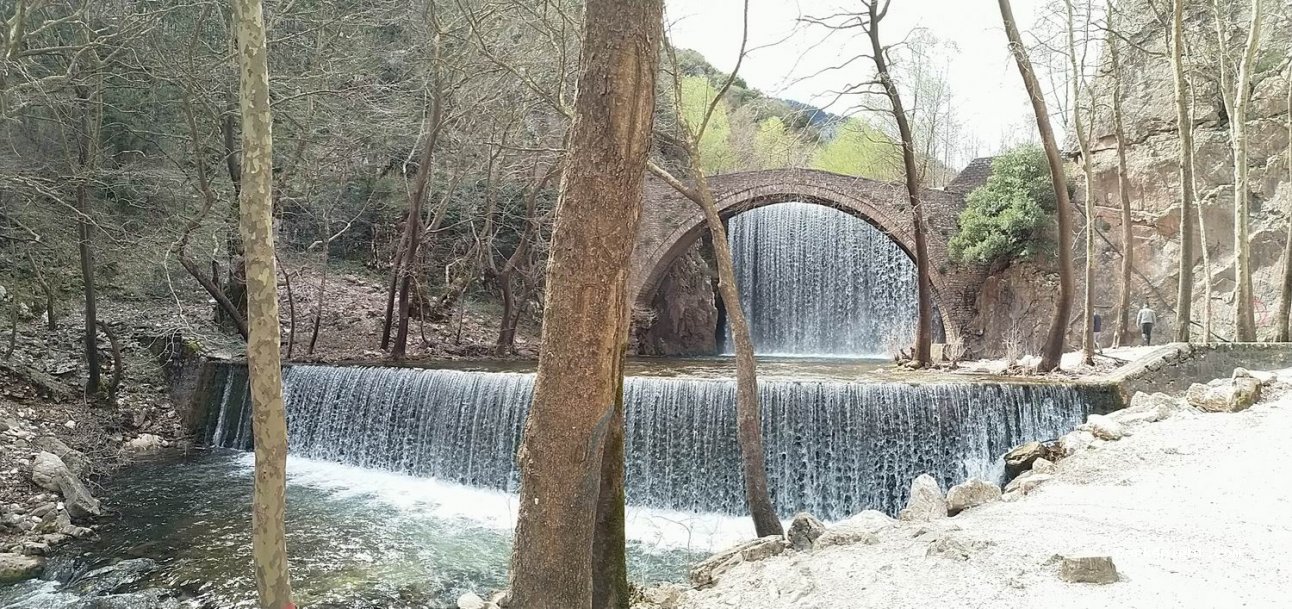 (420 32) Pili - Eparchiaki Odos Paleokarias-Ropotou — foto