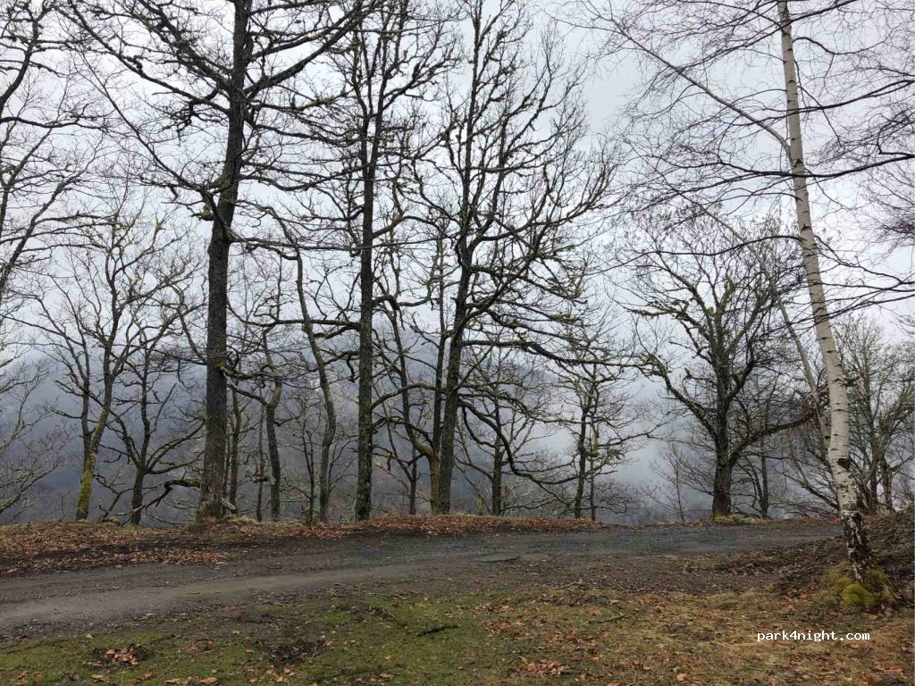 (31440) Melles - Unnamed Road — foto 2