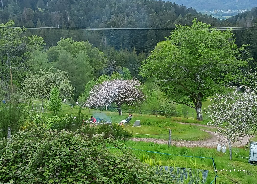 Ferme équestre — foto 2