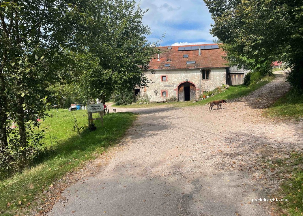 Ferme équestre — foto 3