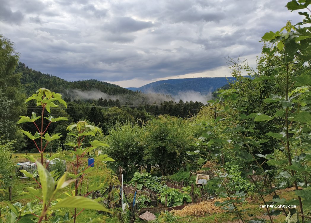 Ferme équestre — foto 5