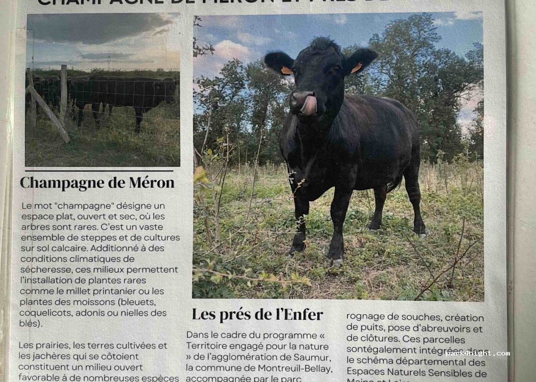 Caveau de la Prévôté — foto 2
