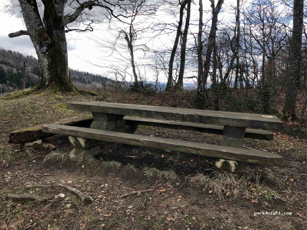 (2912) Roche-d'Or - La Vaux — foto
