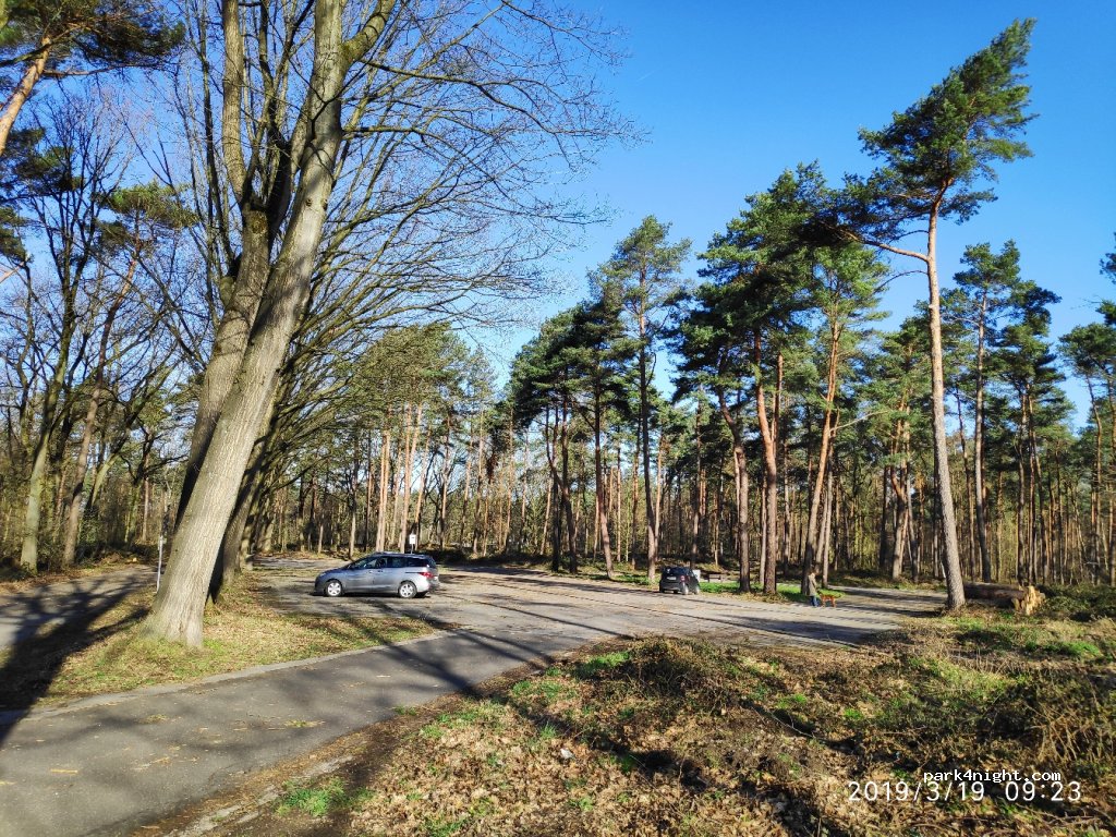 (41372) Niederkrüchten - Waldstraße — foto