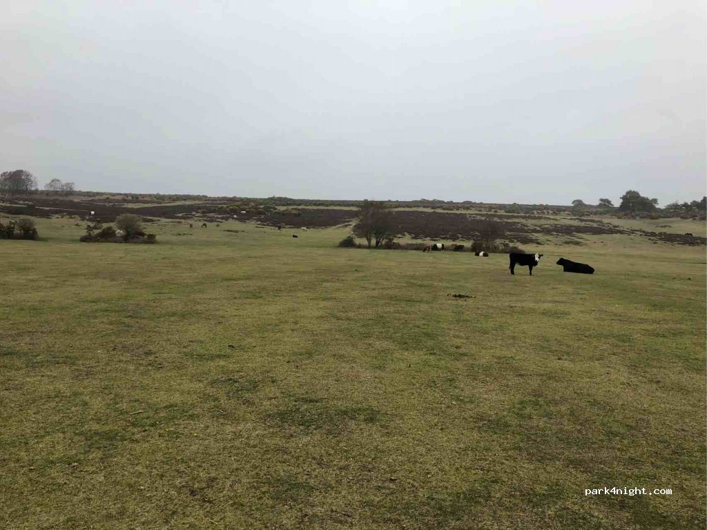 (SO42 7UP)  - Unnamed Road — foto 2