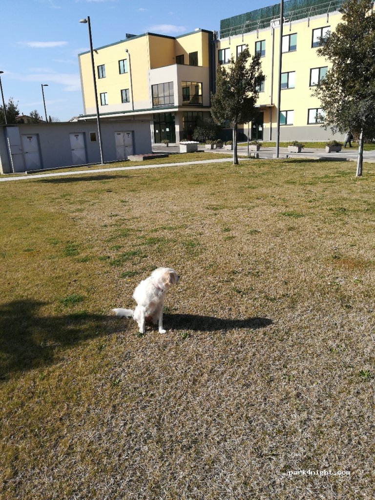 (52100) Arezzo - 40 Via dei Platani — foto 3