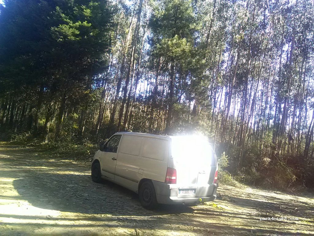 (3720-411) Palmaz - Rua dos 22 — foto 2