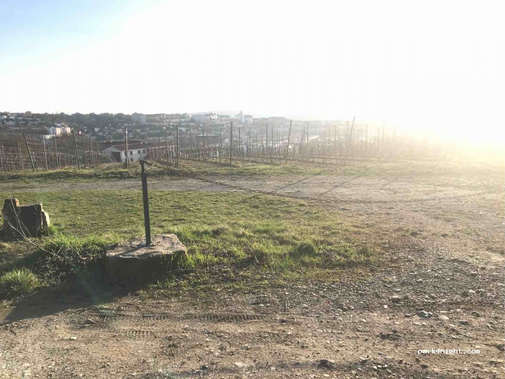 (97076) Würzburg - Oberer Greinbergweg — foto