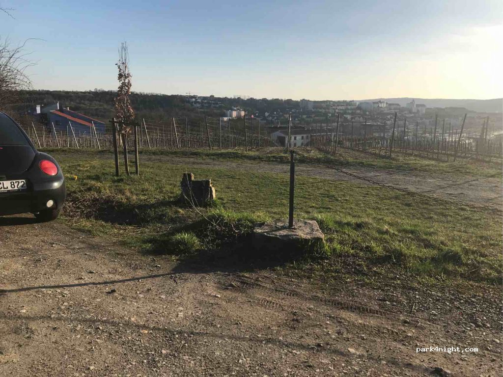 (97076) Würzburg - Oberer Greinbergweg — foto 2