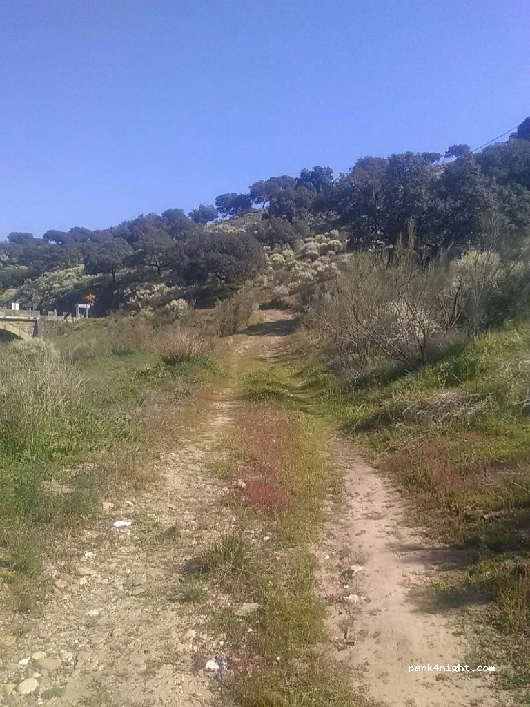 (10694) Torrejón el Rubio - EX-208 — foto 4