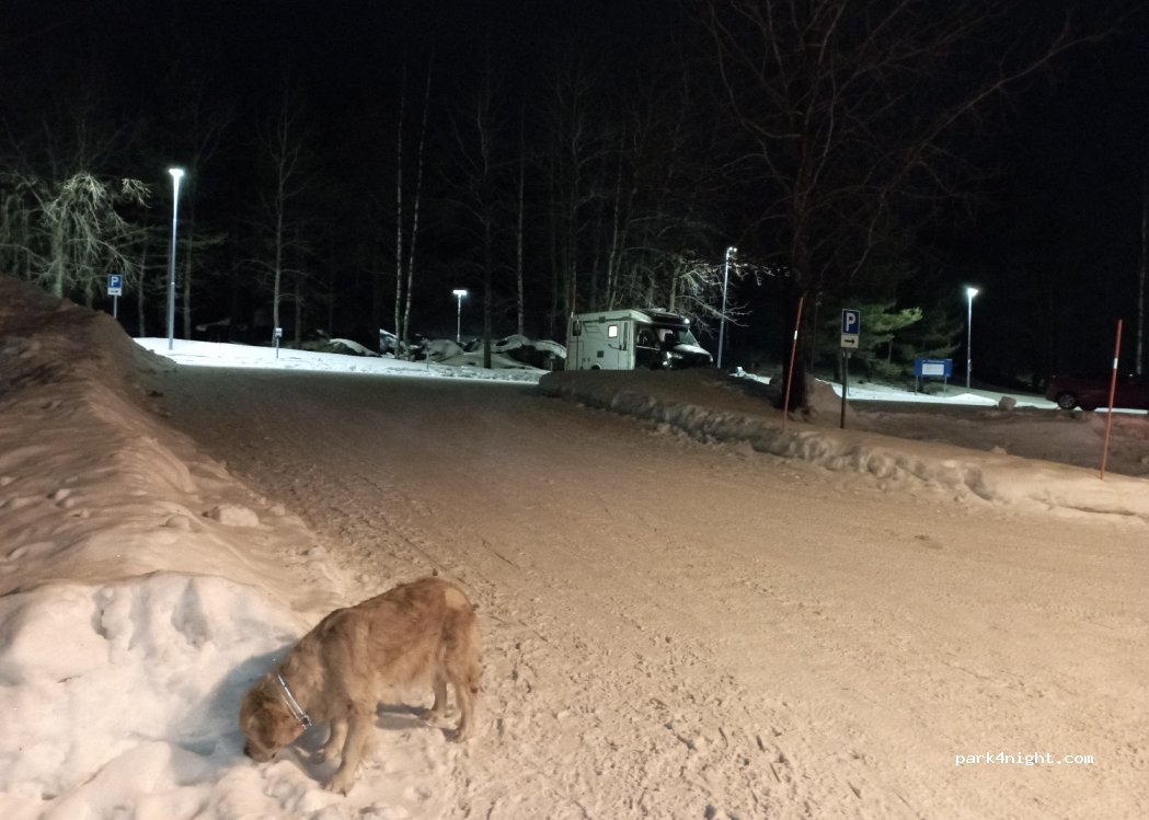 (976 31) Luleå - — foto 2