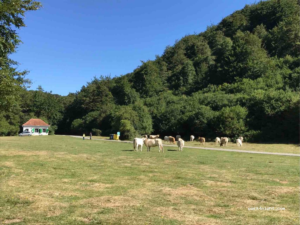 (31696) Erro - Camino Sorogain — foto