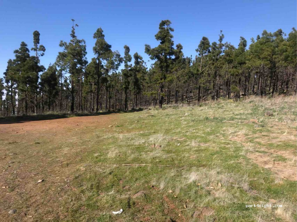 (35329) Vega de San Mateo - GC-130 — foto 3