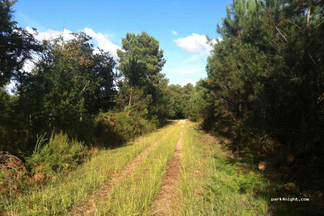(33610) Canéjan - Rond-point des Lagunes — foto 2