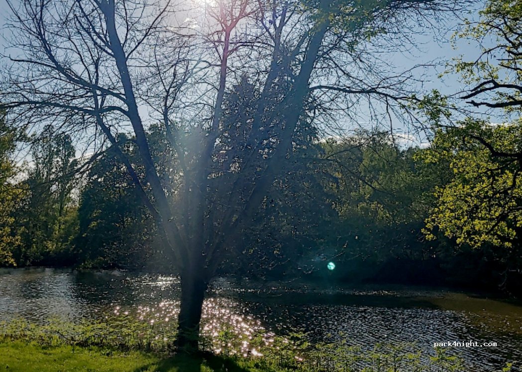 Camping de la reuille — foto 4