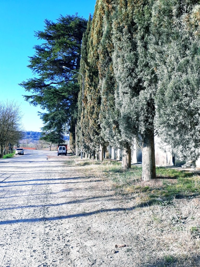 (53041) Asciano - SP438 — foto 3