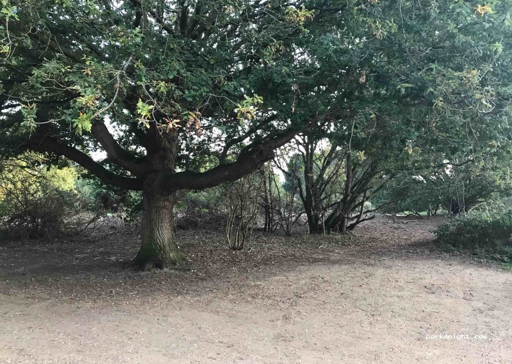 (IP12 4DL)  - 2 Broomheath — foto